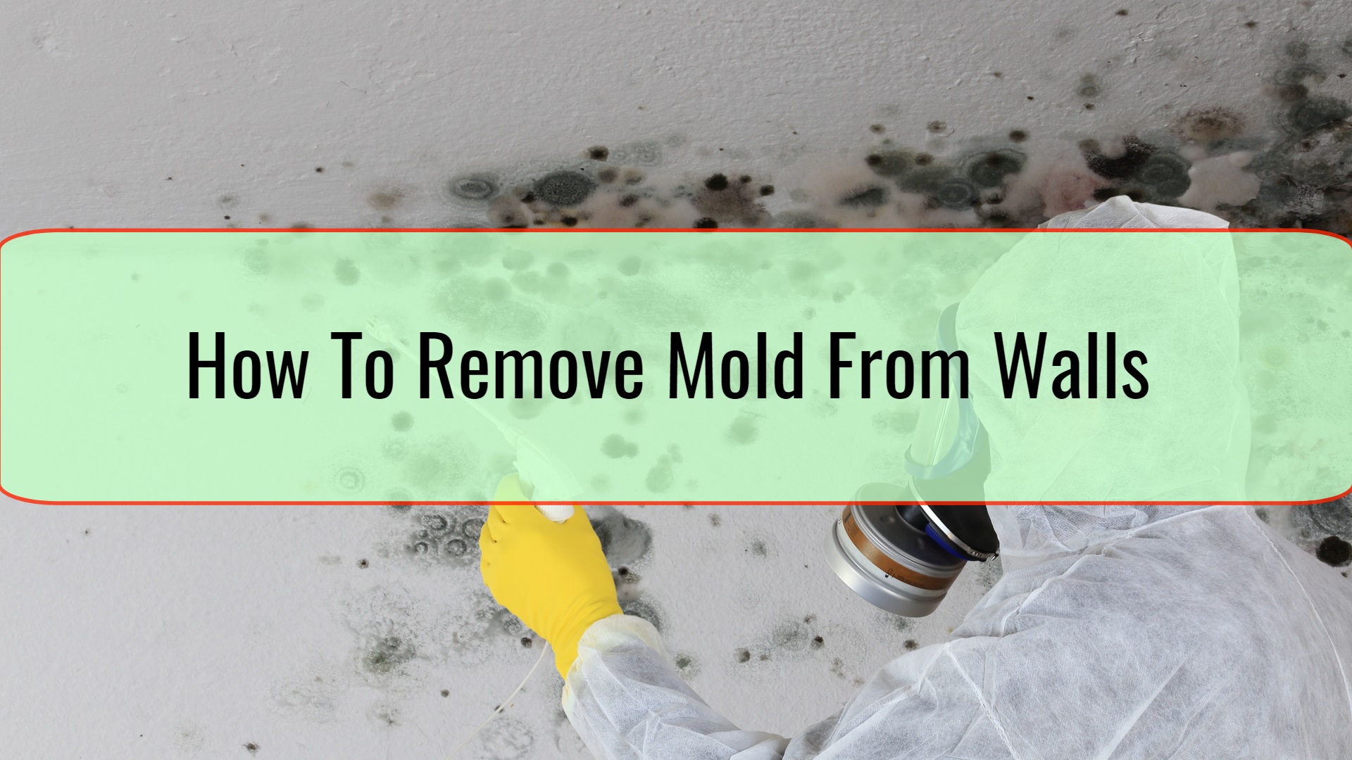 How To Remove Mold From Walls • Xpert Home Tips