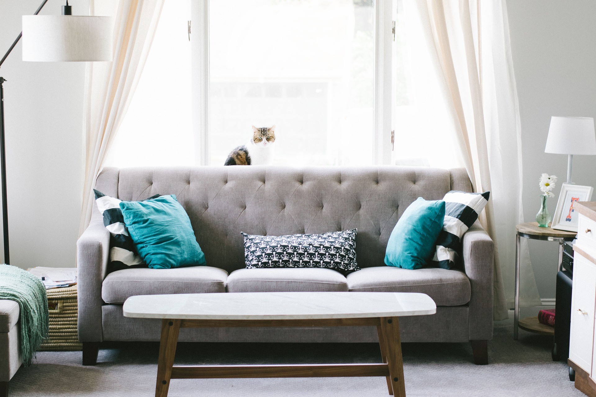 Choosing the Best Materials For Couches • Xpert Home Tips